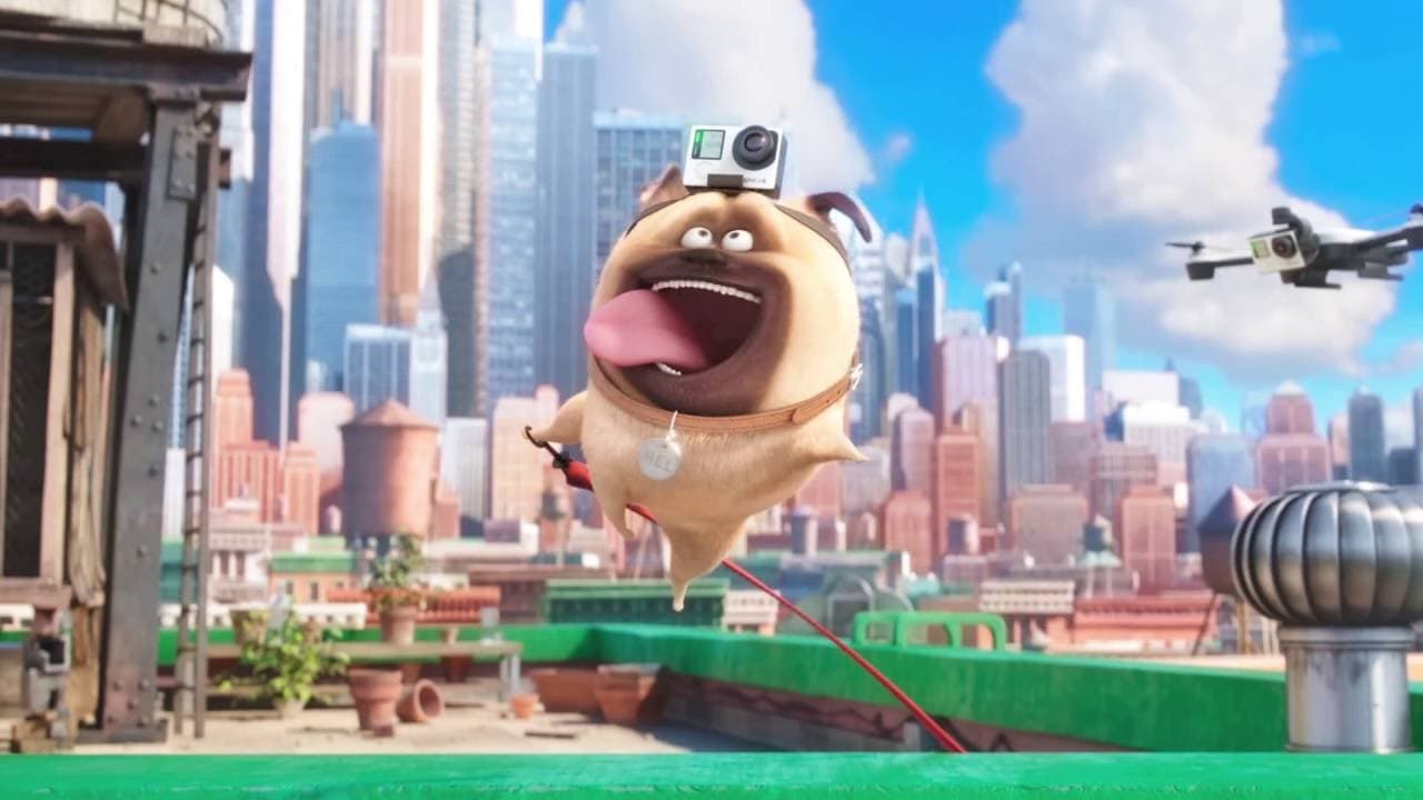 Sweet Pea The Secret Life Of Pets Wallpapers Hd Wallpapers